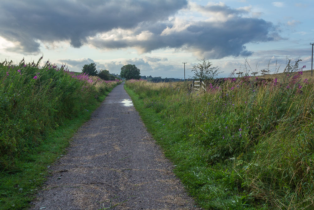 High Peak Trail